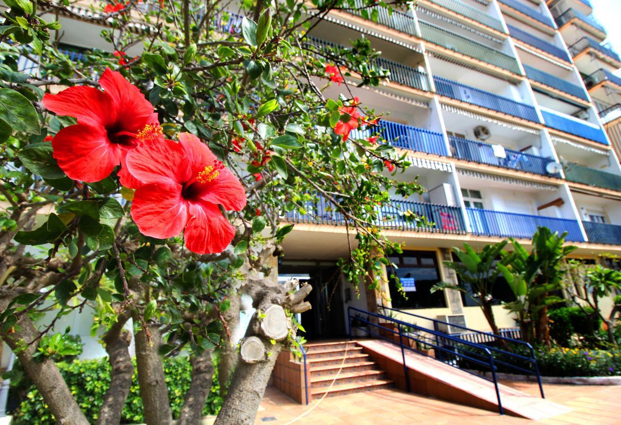 アグアドゥルセExpoholidays - Apartamento Cruceroアパートメント エクステリア 写真
